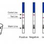 500 x One Step® Ovulation Pregnancy Tests/Testing Kits Bulk/Wholesale - U CHOOSE