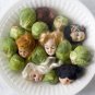 sprouts - 4x6 print