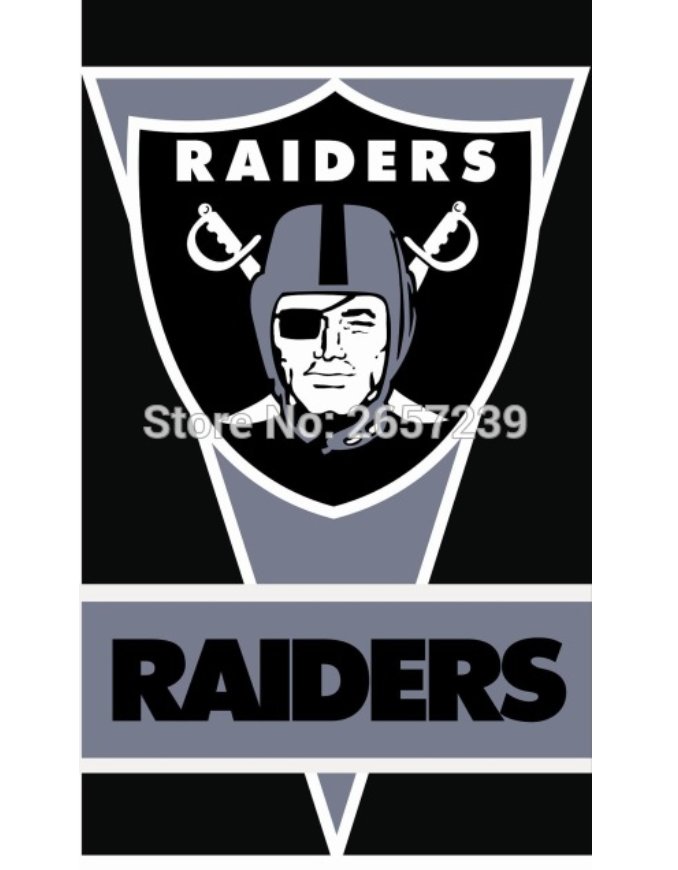 Oakland Raiders wordmark vertical NFL Flag 3x5FT banner 100D 150X90CM ...