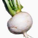 Shogoin turnip 1000 seeds * NON GMO * ez grow * E74