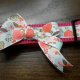 Pet Accessories