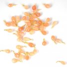 30 Pcs Natural Peach Moonstone Faceted 5x7-5x10mm Drops,Wire Wrapped Loose Beads