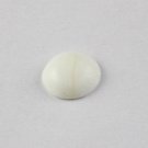 1 Pcs Natural White Coral Oval 12x14mm 6.30Cts Smooth Cabochon Cut Gemstone