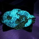 Celtic Knot Bracelet