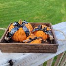 Punkins with Spice