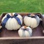 Punkins with Spice