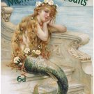 Mermaid Bath Salts, Seaside, Holiday, Bathroom & Showeroom, Small Metal/Tin Sign
