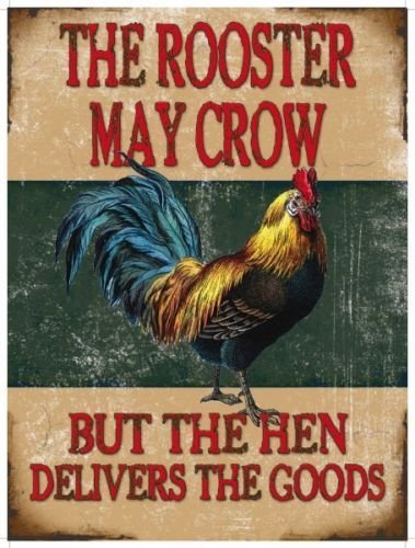 Rooster May Crow, Comedy Chicken, Funny Kitchen Classic, Quality Fridge Magnet