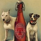 Tennent's Lager Beer, Dogs, Vintage Pub, Bar, Hotel, Beer, Novelty Fridge Magnet