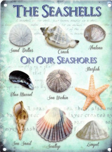 Seashells Seaside Collection House Kitchen Bathroom Beach Small Metal/Tin Sign