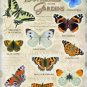 Bitish Garden Butterflys Collection, House/Kitchen, Small Metal/Tin Sign Picture