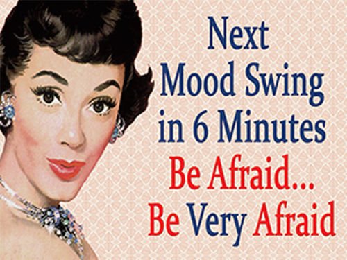 Next Mood Swing, be Afraid Funny Retro Vintage Girl Women Gift, Fridge Magnet