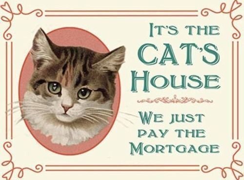 It's the cat's house we just pay the mortgage Funny Novelty Fridge Magnet