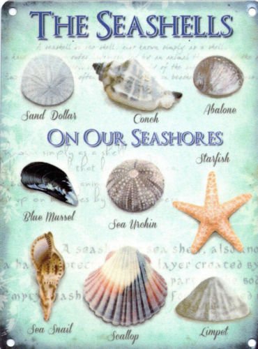 Seashells Seaside Collection House Kitchen Bathroom Beach Large Metal/Tin Sign