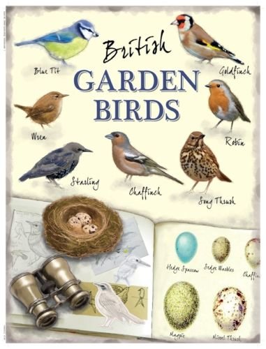 Bird Watching Bitish Garden Birds, Blue Tit, Robin, Small Metal/Tin Sign Picture