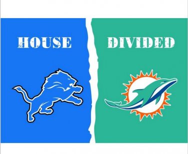 Detroit Lions VS Miami Dolphins house divided flag 150x90cm 2 metal grommets