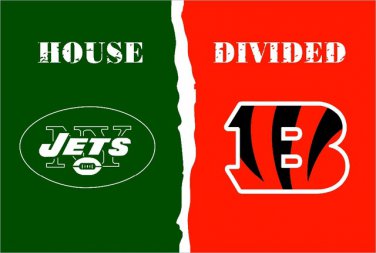 New York Jets vs Cincinnati Bengals House Divided Rivalry Flag 3'*5' 100D Polyester