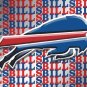 Buffalo Bills 100D Polyester Banner 3ftx5ft flag flag metal