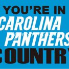 Carolina Panthers country flag 3ftx5ft Banner 100D Polyester Flag Brass Grommets