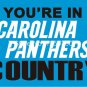 Carolina Panthers country flag 3ftx5ft Banner 100D Polyester Flag Brass Grommets