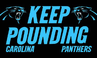 3ft x 5ft Carolina Panthers flag with usa stripes banner 100D Digital Printing flag