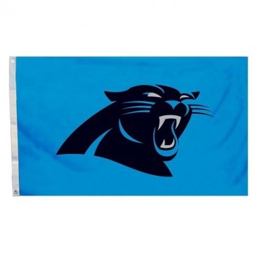 Carolina Panthers Flag with Grommetts, 3 x 5-Feet