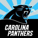 Top design Carolina Panthers flag 90x150cm polyester banner with 2 Metal Grommets