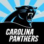 Top design Carolina Panthers flag 90x150cm polyester banner with 2 Metal Grommets