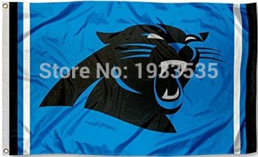 Carolina Panthers Flag 3' x 5' Banner brass metal holes Flag