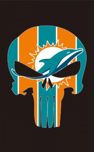 Miami Dolphins Digital Printing 100D Polyester White Sleeve metal Grommets 3x5FT