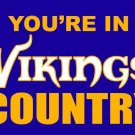 Minnesota Vikings you're in country Flag 3ft x 5ft Polyester Banner 90x150cm