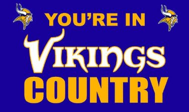 Minnesota Vikings you're in country Flag 3ft x 5ft Polyester Banner 90x150cm