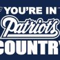 New England Patriots In Country Sport Team Digital Printing Flags Banners 3FTx5FT
