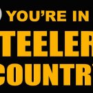 Pittsburgh Steelers you're in country Flag 3ft x 5ft Polyester Banner 90x150cm