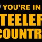 Pittsburgh Steelers you're in country Flag 3ft x 5ft Polyester Banner 90x150cm