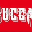 Tampa Bay Buccaneers banner Flag 8x2FT