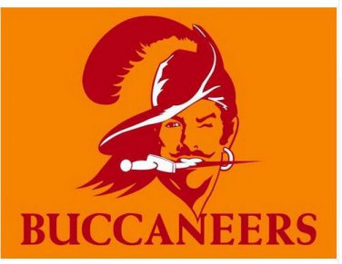 Tampa Bay Buccaneers flag 3x5ft polyester banner 90x150 cm white jacket