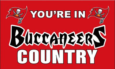 Tampa Bay Buccaneers you are in country flag 90x150cm polyester