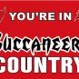 Tampa Bay Buccaneers you are in country flag 90x150cm polyester