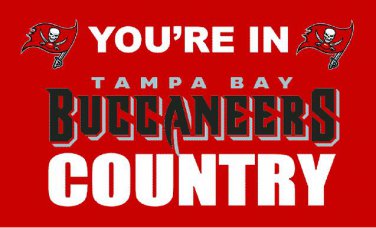 Tampa Bay Buccaneers 49ers you're in country Flag 3ft x 5ft Polyester