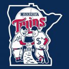 Minnesota Twins flag 3ftx5ft Banner 100D Polyester Flag metal Grommets