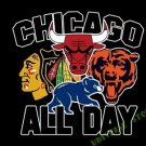 Chicago Blackhawks Bulls Cubs logo flag custom flag 3x5 FT