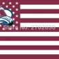Colorado Avalanche Ice Hockey Sports Star Stripe National Team Flag 3ft X 5ft