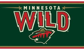 Minnesota Wild Flag 3x5 FT 150X90CM Banner 100D Polyester flag 1142