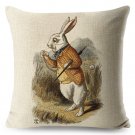 Peter Rabbit #01 Cushion Cover Square Plain  45cm*45cm