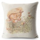 Peter Rabbit #12 Cushion Cover Square Plain  45cm*45cm