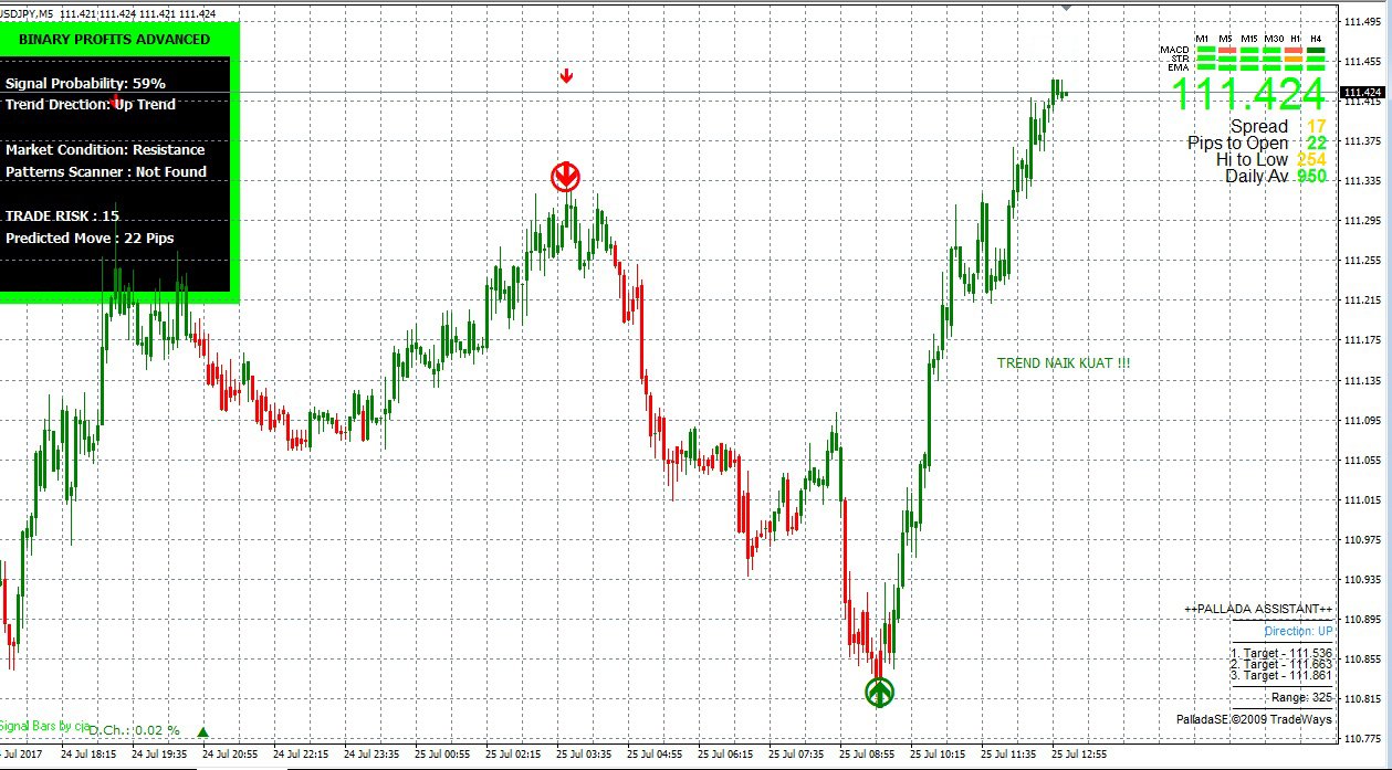 PROFESSIONAL FOREX INDICATOR SE8CFR for Metatrader 4