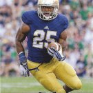 Tarean Folston 2017 Leaf #64 Notre Dame Football Card