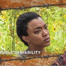 Topps The Walking Dead Season 7 Trading Card Rust Parallel #27 Plausible Deniability (Sasha)