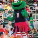 Tessie 2018 Topps Opening Day Mascots #M-3 Boston Red Sox Baseball Card